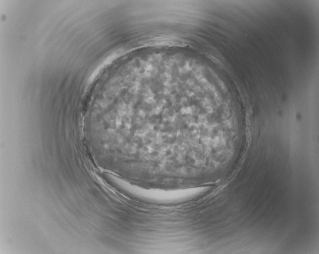 X0000051261067200507152209