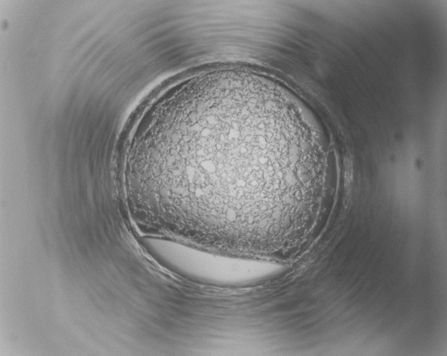 X0000051261068200507152209