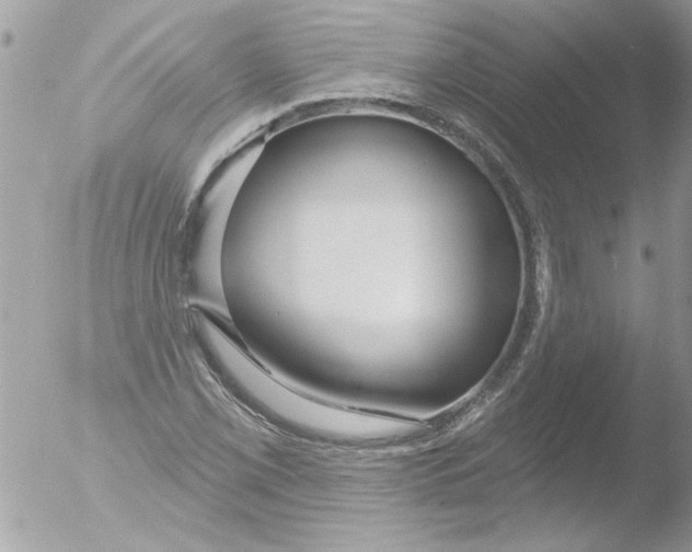 X0000051261069200507152209