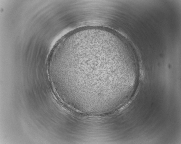 X0000051261070200507152209