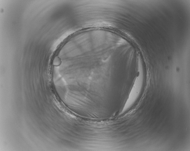 X0000051261071200507152209