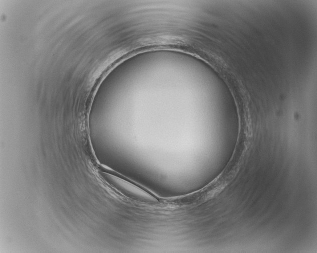 X0000051261073200507152209