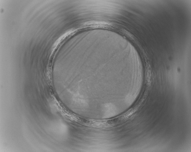 X0000051261074200507152209