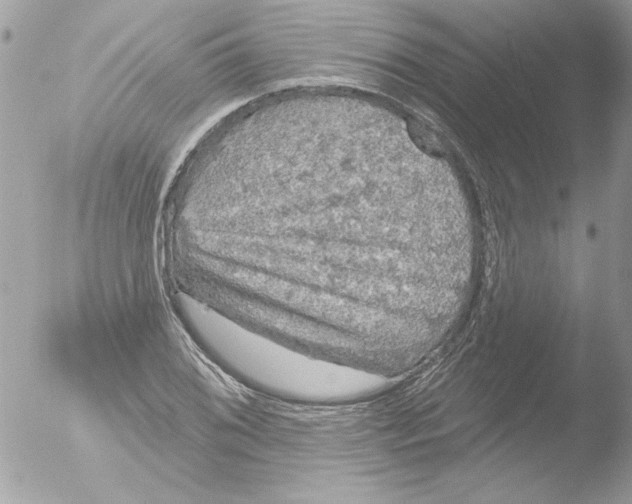 X0000051261076200507152209