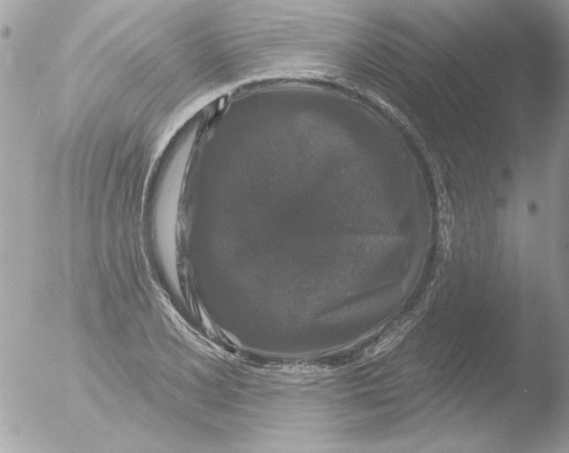 X0000051261077200507152209