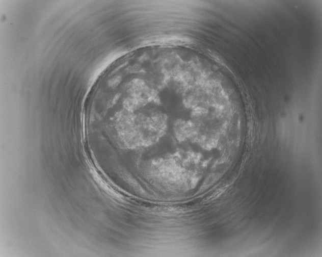 X0000051261079200507152209