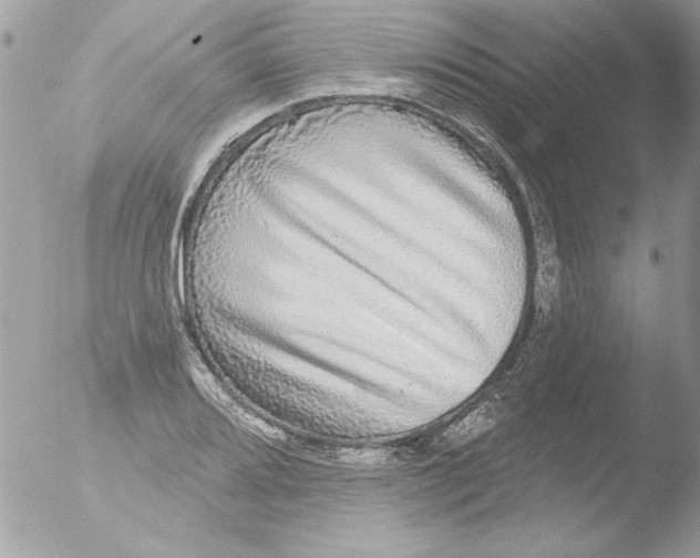 X0000051261080200507152209