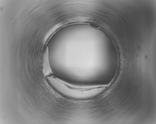 X0000051261081200507152209