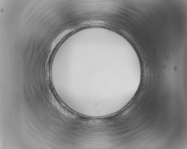 X0000051261082200507152209