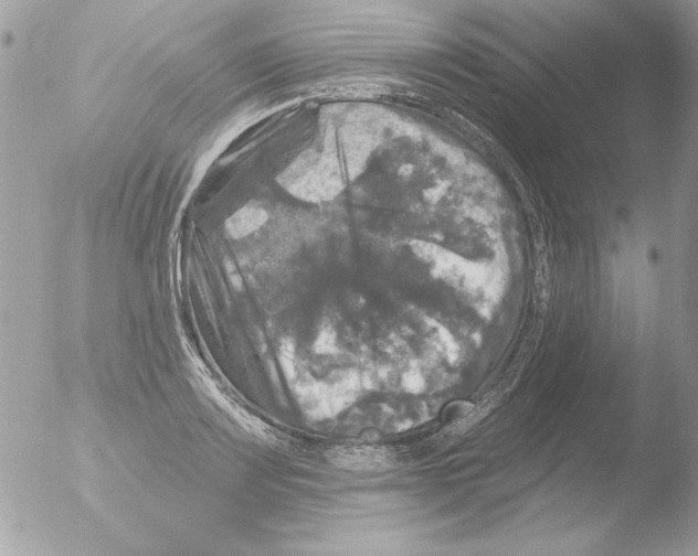 X0000051261083200507152209