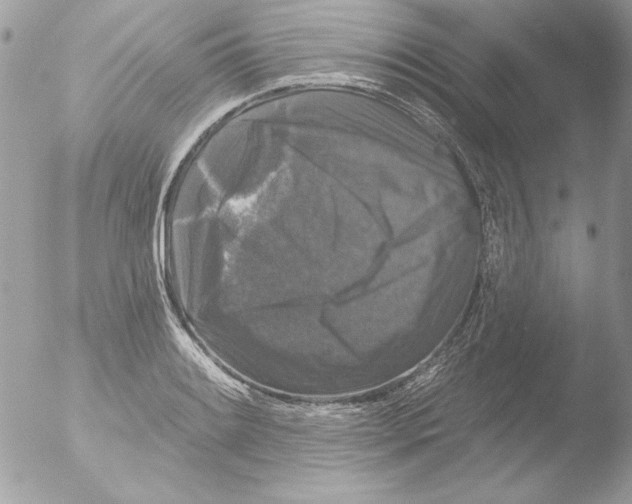 X0000051261084200507152209