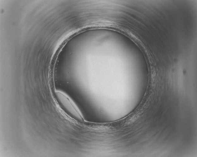 X0000051261085200507152209