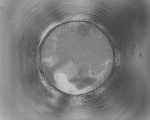 X0000051261086200507152209