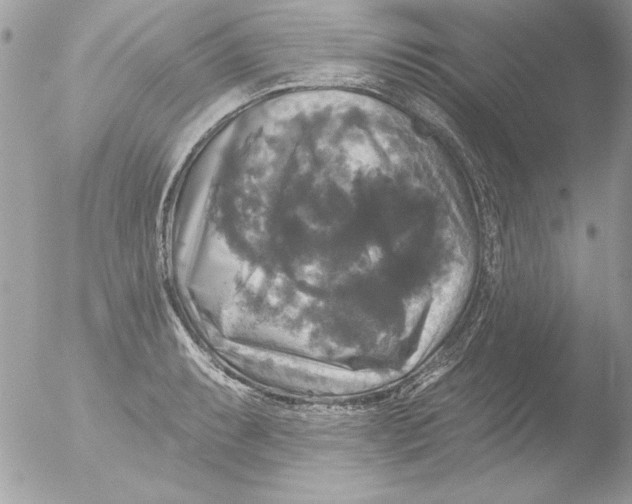 X0000051261087200507152209