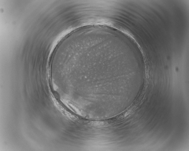 X0000051261088200507152209