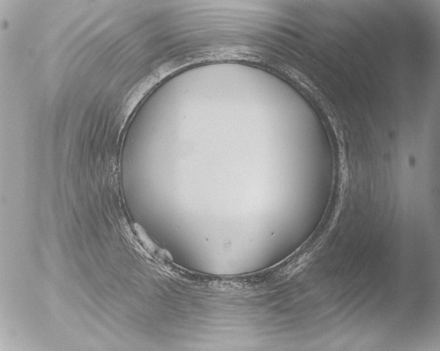 X0000051261089200507152209