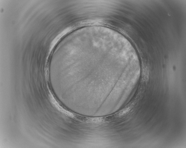 X0000051261090200507152209