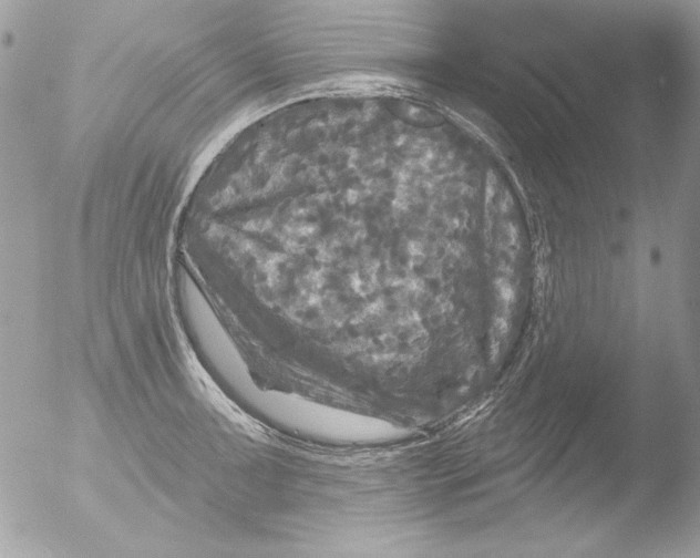 X0000051261091200507152209