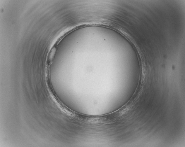 X0000051261093200507152209