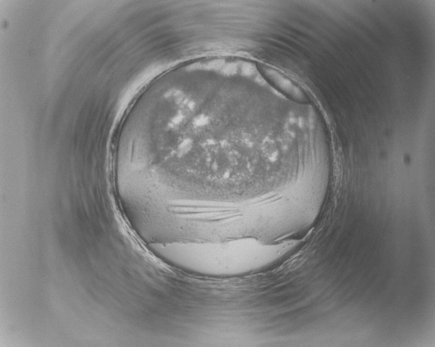 X0000051261096200507152209