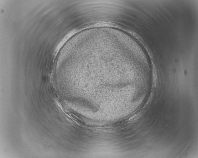 X0000051261097200507152209