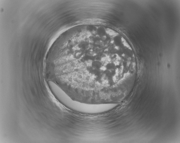 X0000051261099200507152209