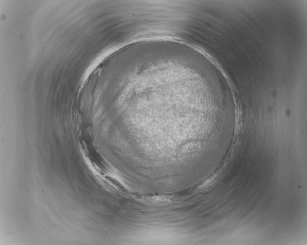 X0000051261101200507152209