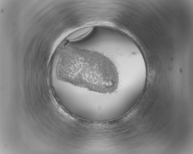 X0000051261102200507152209