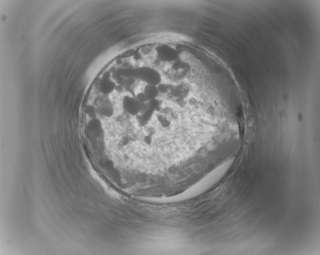 X0000051261103200507152209