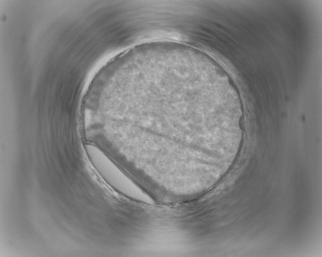 X0000051261104200507152209