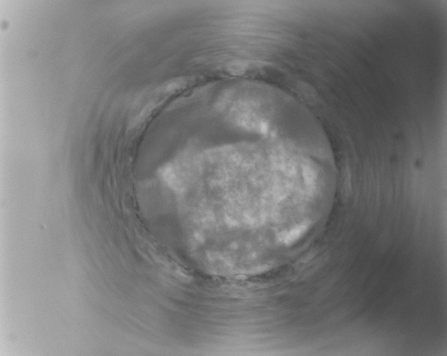 X0000051261105200507152208