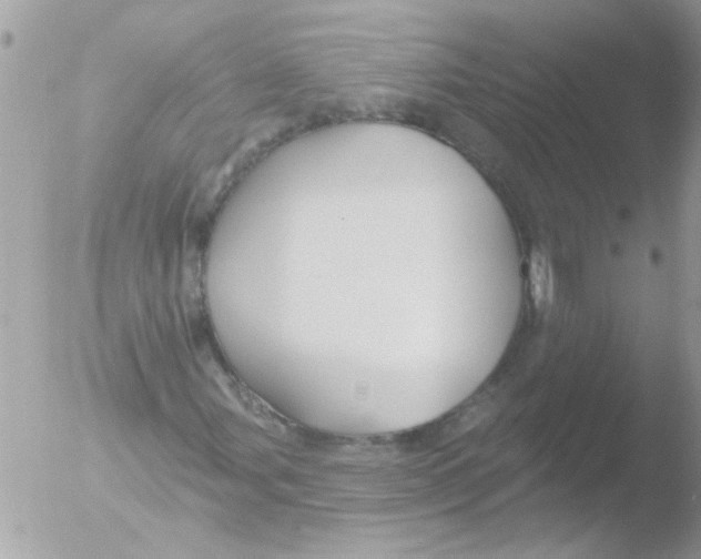 X0000051261107200507152208