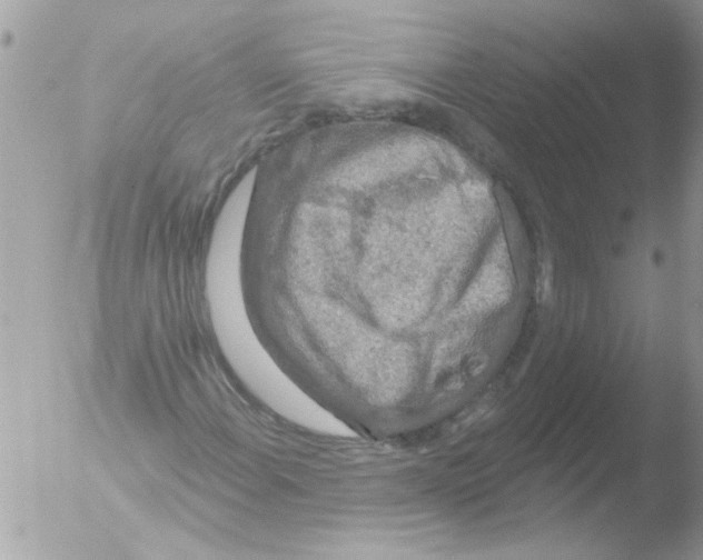 X0000051261108200507152208