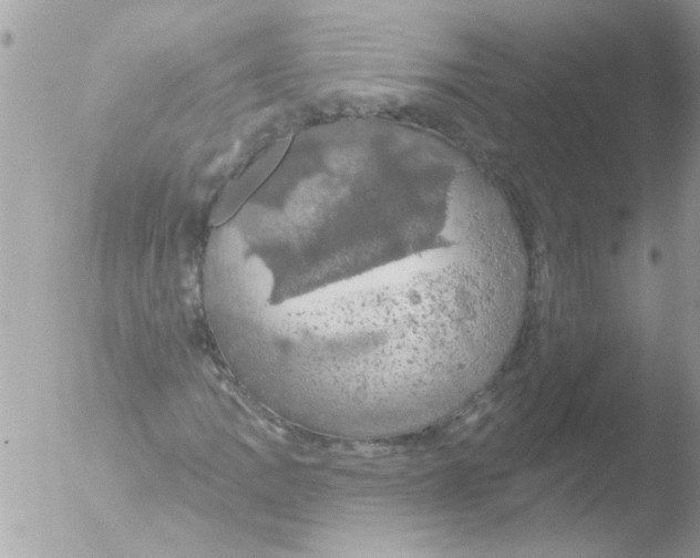 X0000051261109200507152208