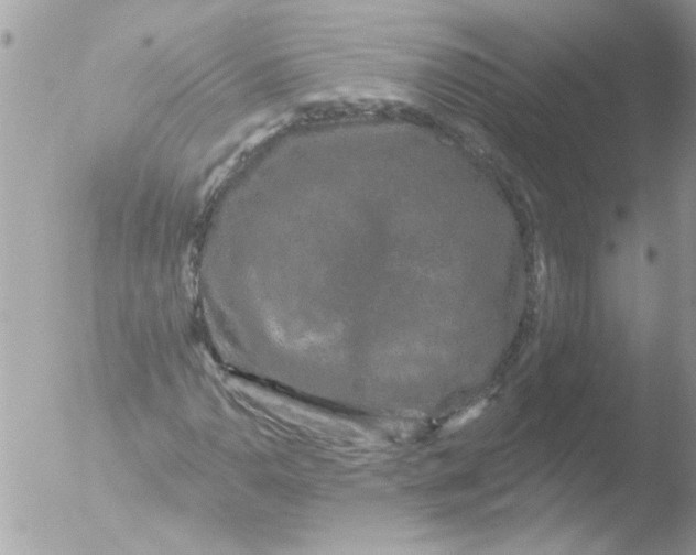 X0000051261110200507152208