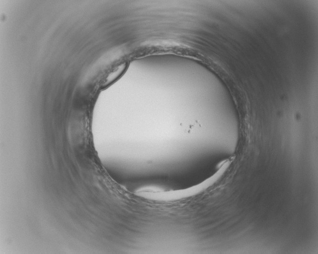 X0000051261111200507152208