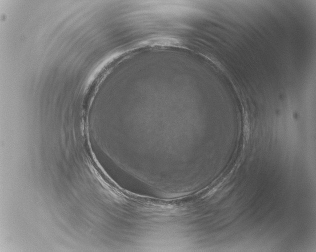 X0000051261115200507152208