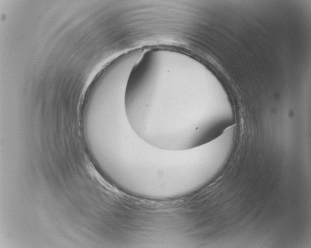 X0000051261116200507152208