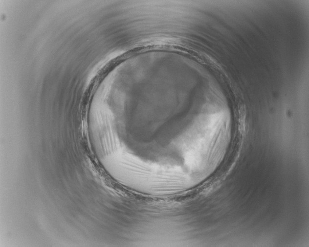 X0000051261117200507152208