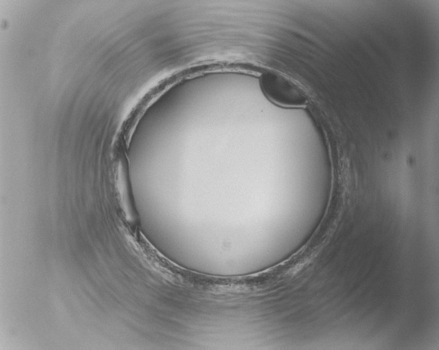 X0000051261118200507152208