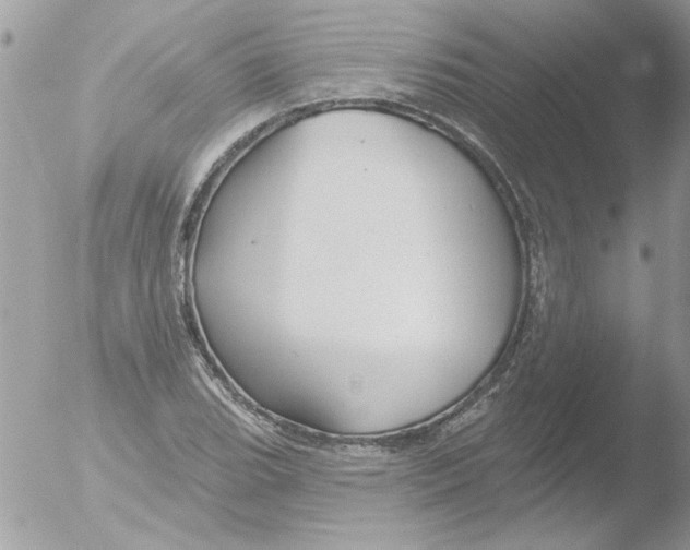 X0000051261119200507152208