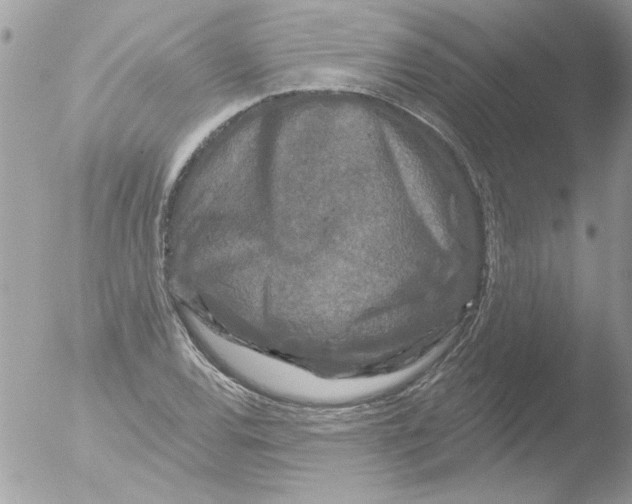 X0000051261120200507152208