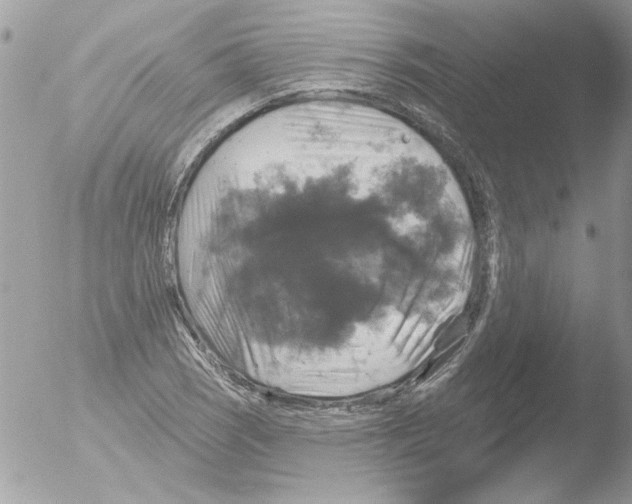 X0000051261121200507152208