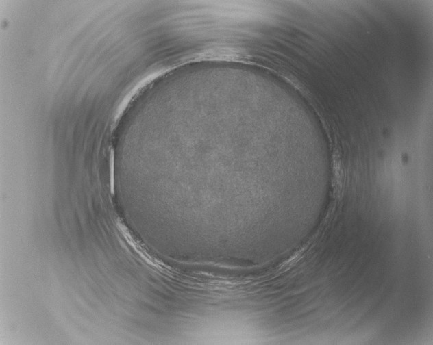 X0000051261123200507152208