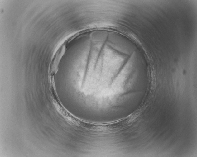 X0000051261124200507152208