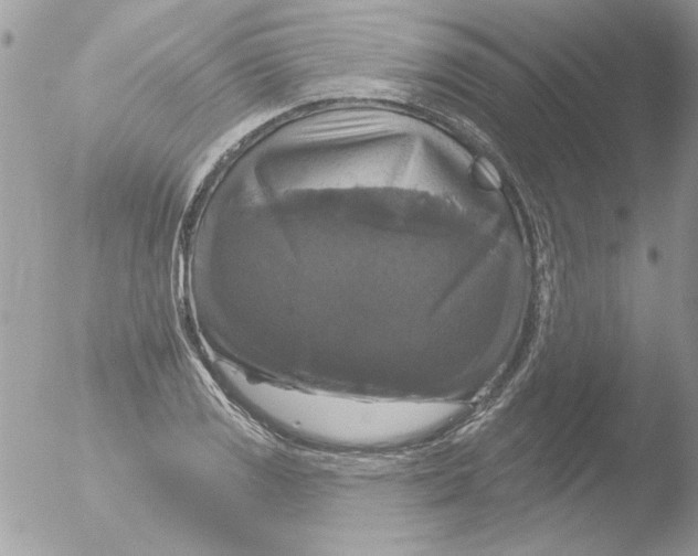 X0000051261125200507152208