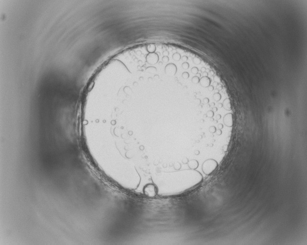 X0000051261126200507152208