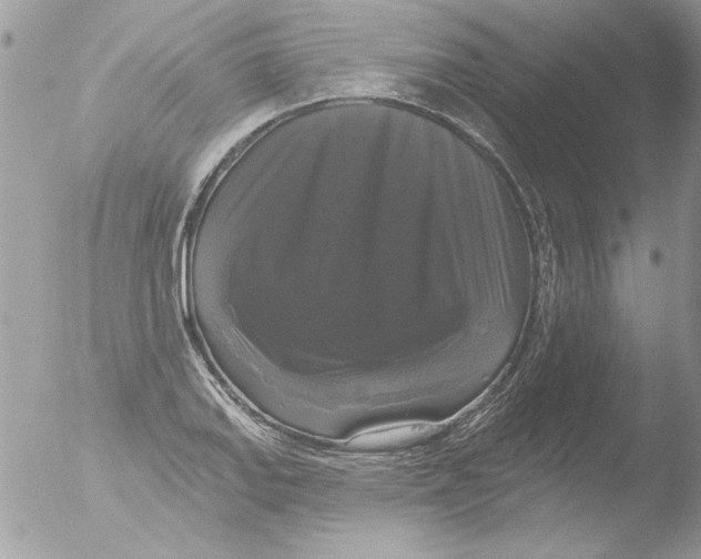 X0000051261127200507152208