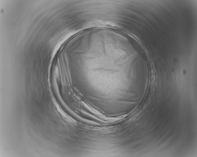 X0000051261128200507152208