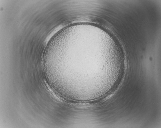 X0000051261129200507152208